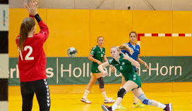 Сбалансировать соотношение мужского и женского гандбола — в Голландии утвердили стратегию развития