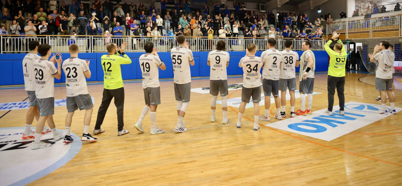 НЕКА на домашней площадке обыграла "Сигетсентмиклош" в пятничном матче мужского чемпионата Венгрии