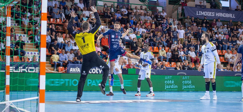 Франция. Словенец Драган Гаич из "Лиможа" установил рекорд чемпионата, затратив наименьшее количество матчей на преодоление отметки в тысячу голов