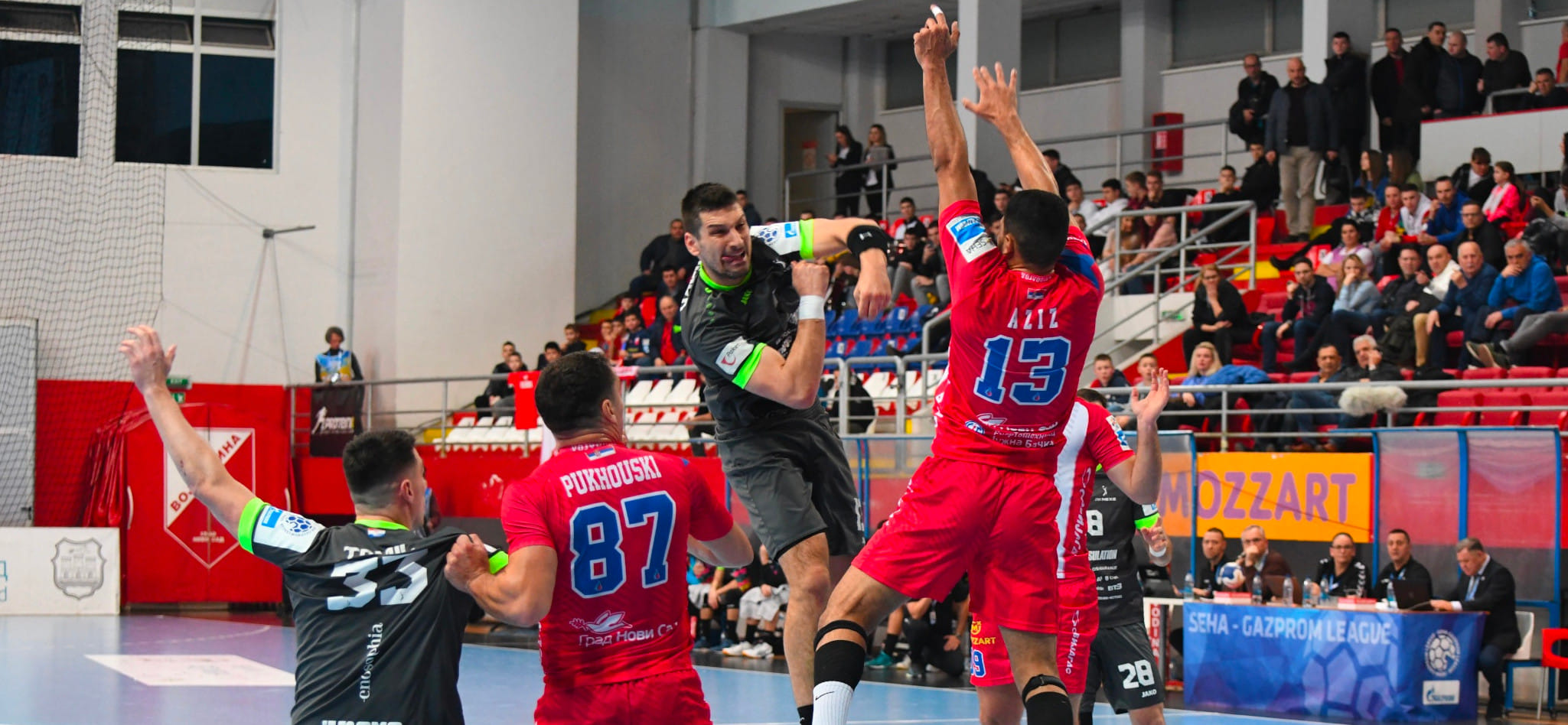 SEHA-Gazprom League. Дивизион "Юг". В стартовом матче турнира "Войводина" Бориса Пуховского на домашней площадке была сильнее "Нексе"