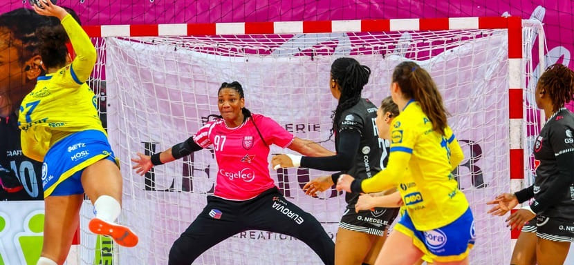 Франция. "Брест" — "Мец", "ПСЖ" — против "Монпелье": известны полуфинальные пары мужского и женского Кубков страны