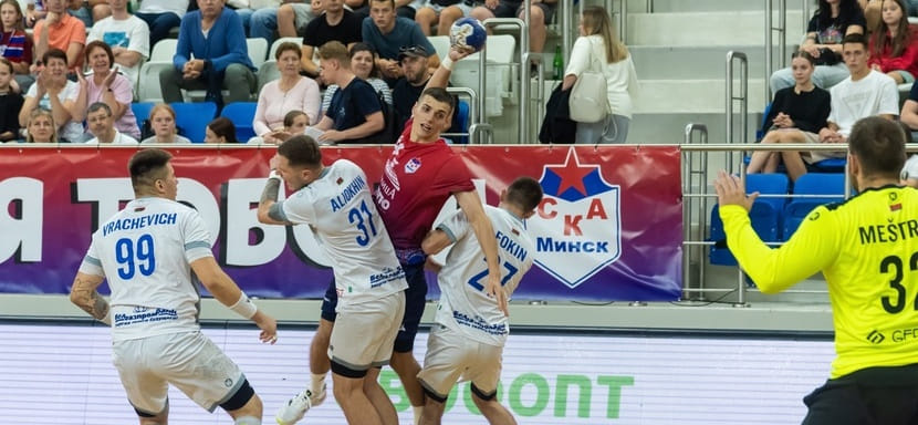 С нового года в Беларуси для клубов по игровым видам спорта будет создан общекомандный призовой фонд. Размер призовых определит правительство