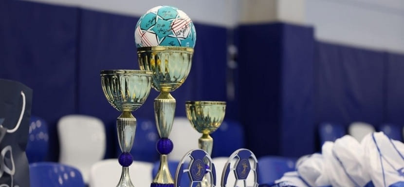 Россия. В Абрау-Дюрсо прошёл детский турнир на призы Группы компаний "Дело" (ФОТО)