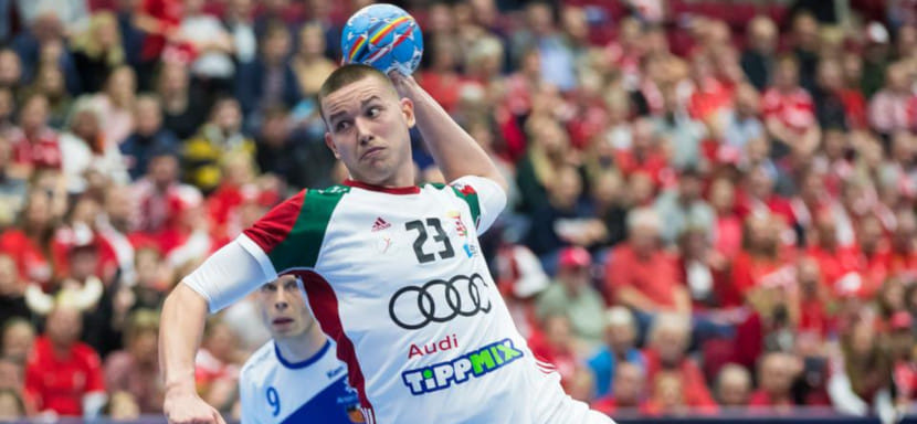 Норвегия. Доминик Мате: "На тренировках здесь более спокойная обстановка. Никто не стоит над душой, больше доверия игрокам"