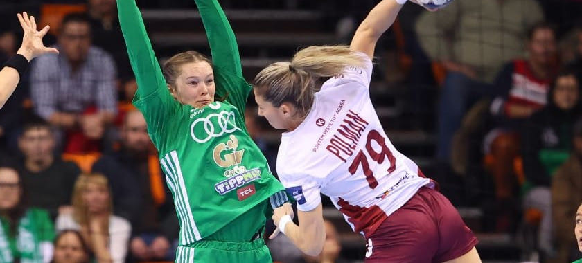 Дания. По сведениям СМИ, за переход Эставаны Полман "Нюкёбинг" получил от "Рапида" 13 тысяч евро