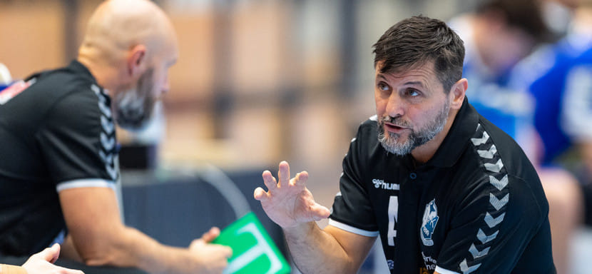 Швеция. Главный тренер сборной Словении Любомир Враньеш принял решение покинуть "Кристианстад", с которым работал параллельно