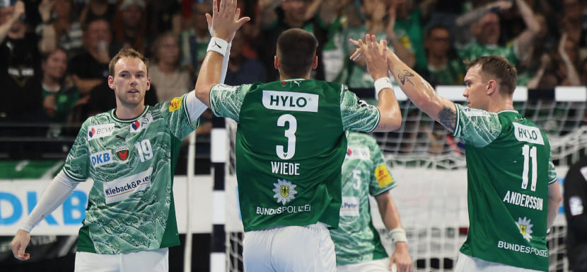 "Фленсбург", "Берлин" и "Вецлар" одержали домашние победы в воскресных матчах мужского чемпионата Германии