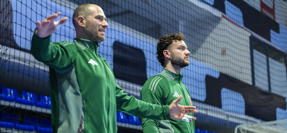 "Вецлар" нацелился на венгров — вратаря Ласло Бартуца и полусреднего Андрея Пергела, но для начала ему надо сохранить место в бундеслиге