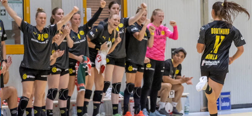 Delo Лига чемпионов. В заключительных матчах дня победы одержали "Боруссия" и "Бухарест". Кристина Нягу забросила 14 мячей в ворота "Подравки"