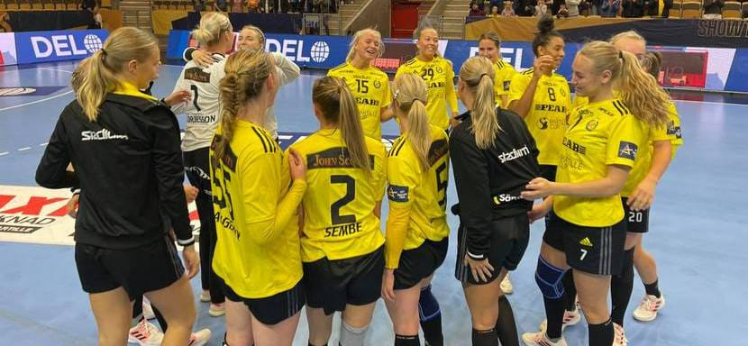 Delo Лига чемпионов. Смена главного тренера не помогла турецкому "Кастамону". Команда потерпела поражение от шведского "Севехофа"