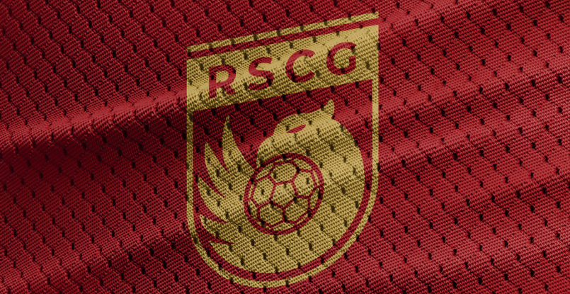 Балканы. Федерация гандбола Черногории выделила 84500 евро на поддержку всех клубов страны