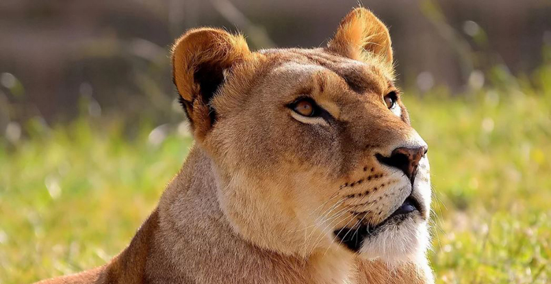 Евгений Зотин: "Когда девочки выходят из зала, красятся, надевают женственную одежду, это одно, а на площадке они — львицы"