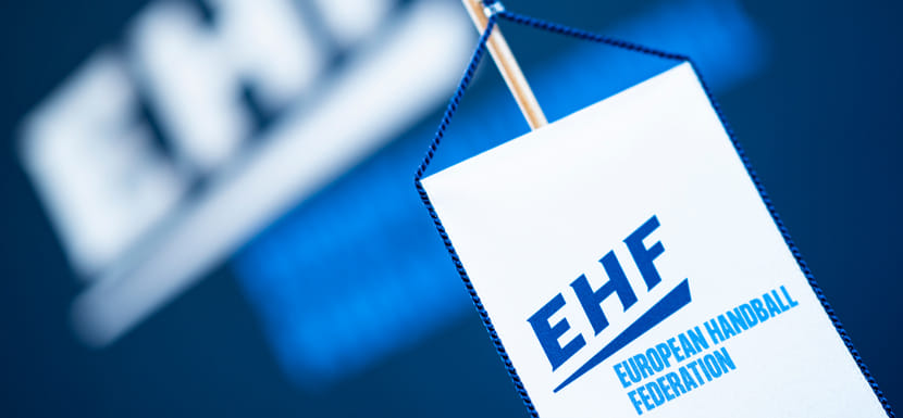 Заявление ЕГФ: "Расследования, проведённые полицией, не дали никаких результатов, а предположения остались недоказанными"