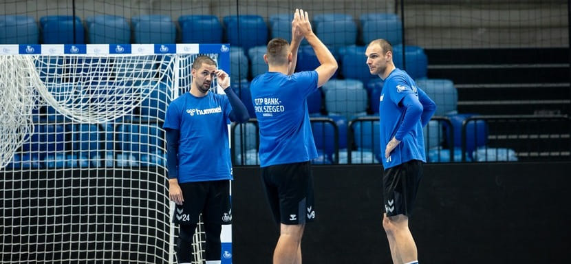 "Пик" Калараша принимает "Нант", "Висла" Житникова и Самойло сыграет с "Пари Сен-Жермен" и ещё два матча группового раунда Лиги чемпионов