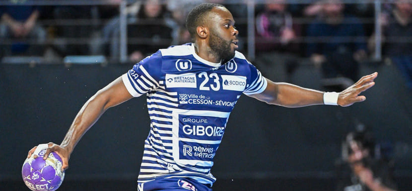 Левый крайний Жуниор Тузолана, известный по выступлениям в чемпионате Франции, стал игроком македонского "Вардара"