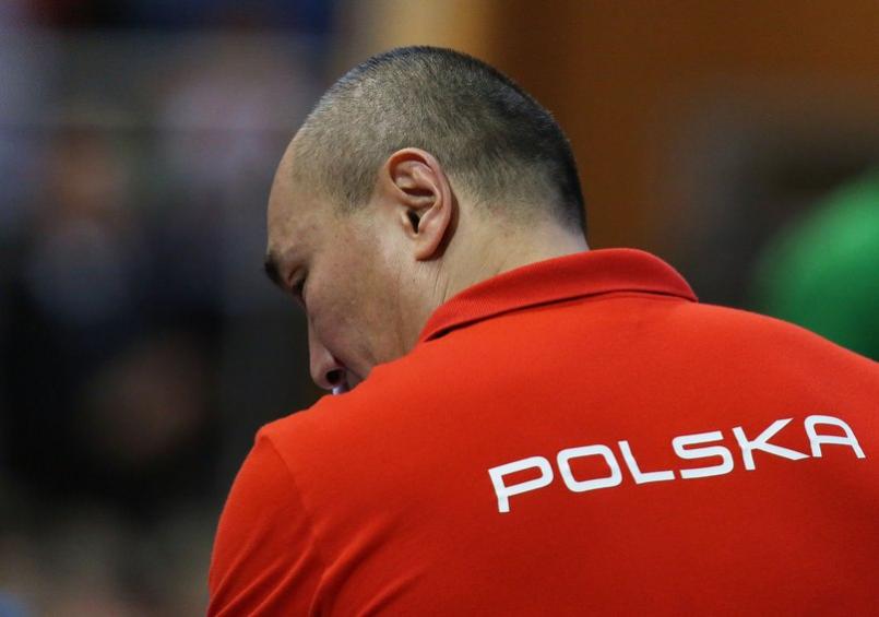 Пилка рэнчна. История высохшей ели