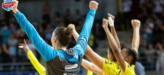 Франция. Завершился предварительный этап чемпионата Франции. "Мец" остался непобеждённым, одержав 26 побед в 26 матчах