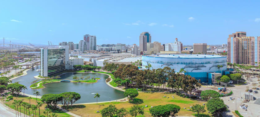 "Кардио плюс ММА".  Голливуд ждёт ручной мяч: каким будет олимпийский гандбол в Лос-Анджелесе-2028