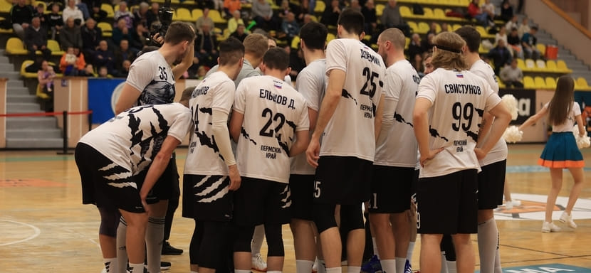 Определился ещё один участник четвертьфинального раунда мужского Кубка России — это "Пермские медведи"