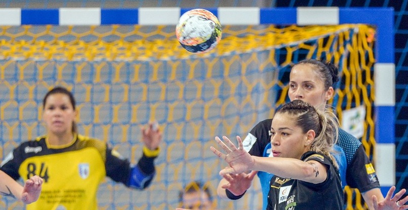 Польша. В женском чемпионате страны могут сыграть только восемь команд