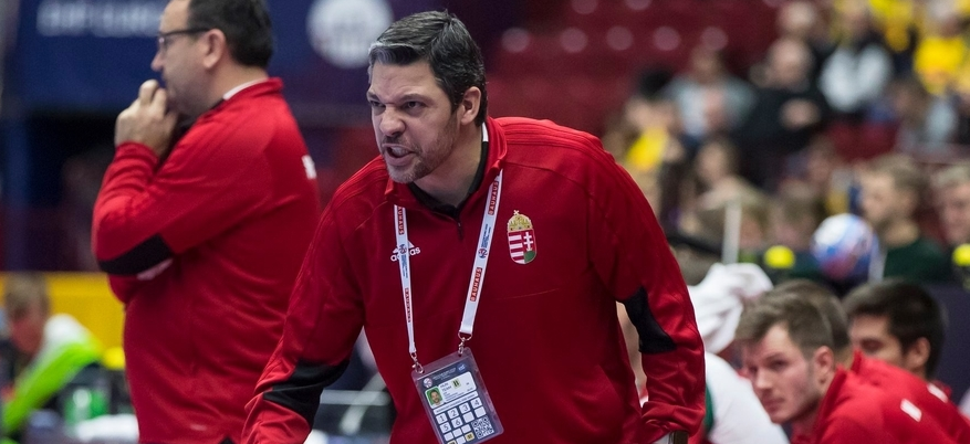 Второй тренер сборной Венгрии испанец Чема Родригес летом возглавит португальскую "Бенфику". На этом посту он сменит Карлуша Резенде