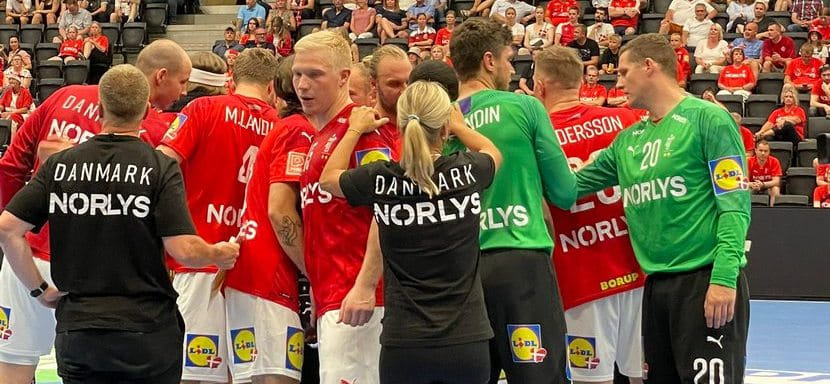 Товарищеский матч. Датчане обыграли французов. Мортен Ольсен и Микаэль Гигу не принимали участия в спарринге