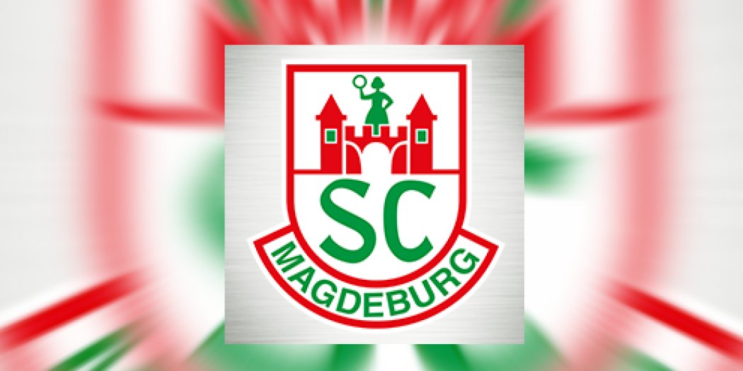 Бундеслига. Тим Хорнке и Блаж Янц входят в сферу интересов "Магдебурга"