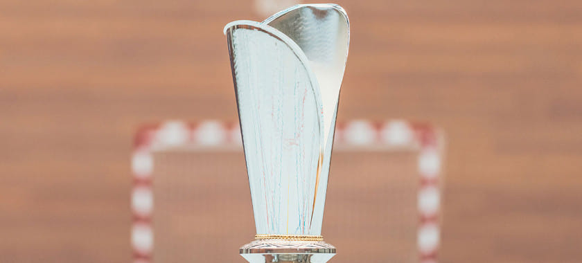 30% зрителей Лиги Асобаль познакомились с гандболом из-за увлечения им семьи или друзей, 26% — из-за занятий в школе