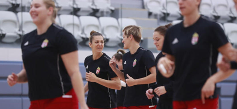 Тренер сборной Венгрии Габор Даньи: "Опрометчиво что-либо планировать. Исходим из того, что в декабре пройдет чемпионат Европы"