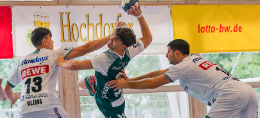 "Гёппинген" выиграл традиционный товарищеский предсезонный турнир в Альтенштайге впервые с 2012 года