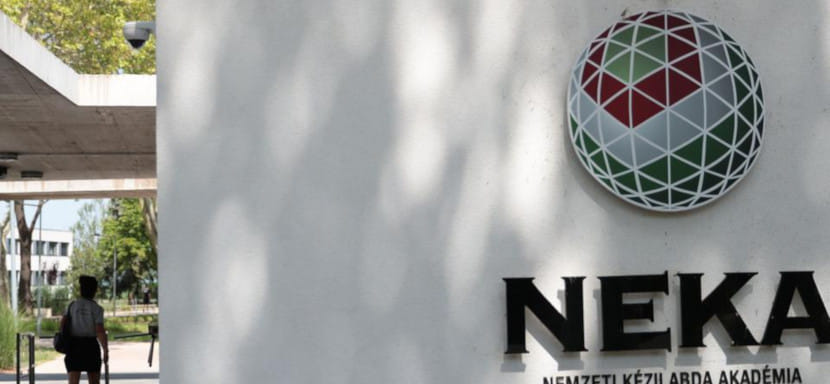 Венгрия. Новый случай коронавируса: на карантин отправлена женская команда "Академия Сент-Иштван". "Альба" ждет результатов теста