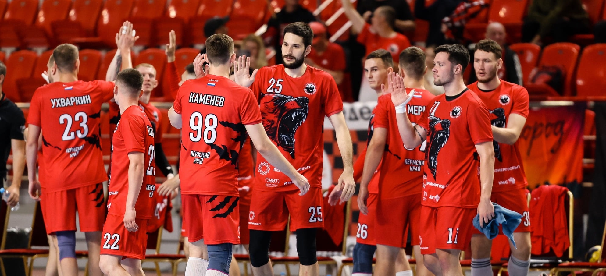 Медвежий жир. Четыре причины, почему "Пермские медведи" на вершине Суперлиги прямо сейчас