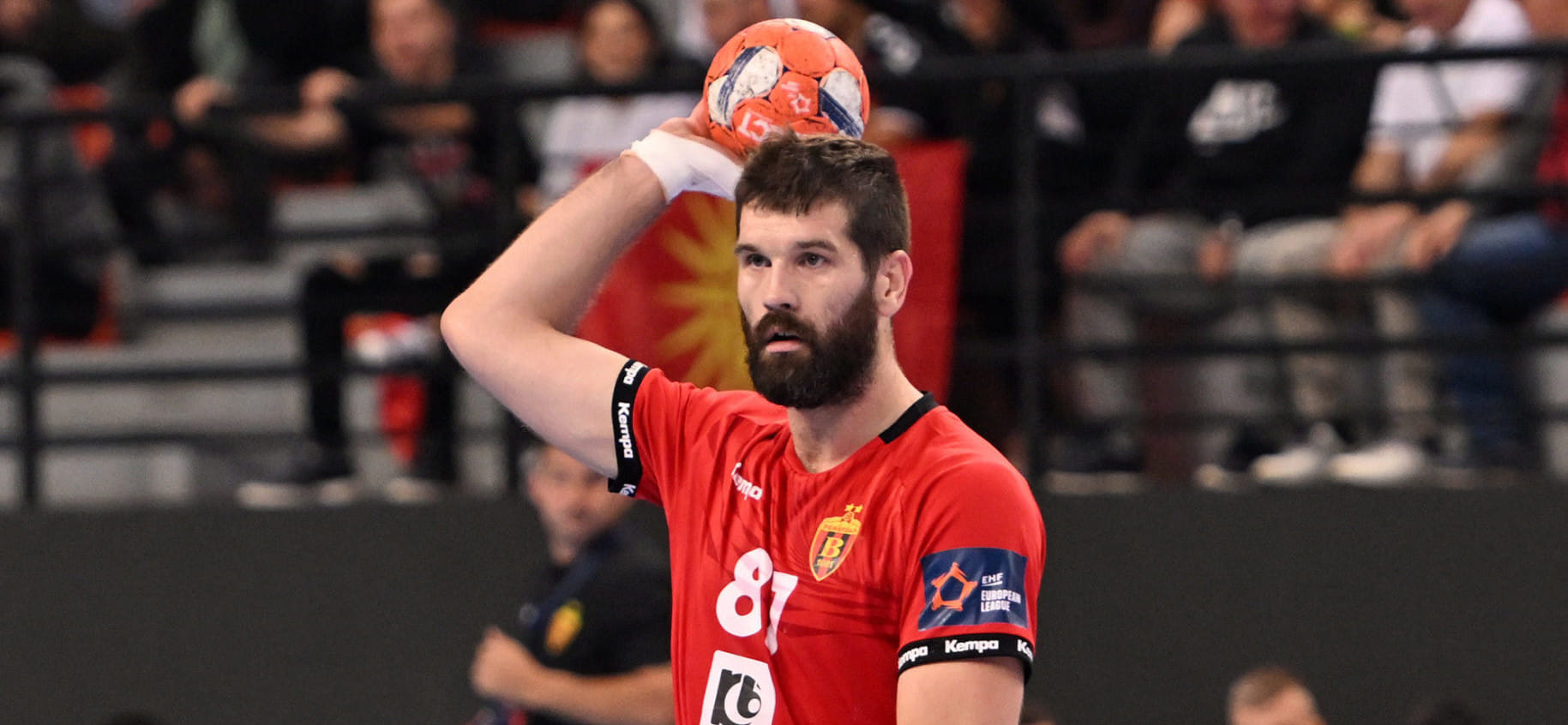 Черногорского полусреднего "Вардара" Вуко Борозана во время прогулки по Скопье покусали собаки. Его участие в матче Евролиги с "Порту" под вопросом