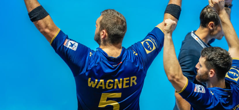 Франция. В единственном матче дня "Тулуза" с преимуществом в 13 мячей разгромила аутсайдера мужского чемпионата "Селестат"