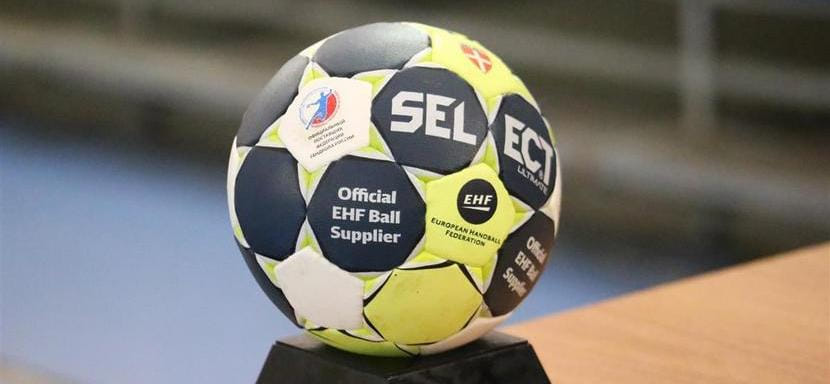 В новый тренерский совет Федерации гандбола России вошли специалисты из пяти стран. Председателем остался Анатолий Драчев