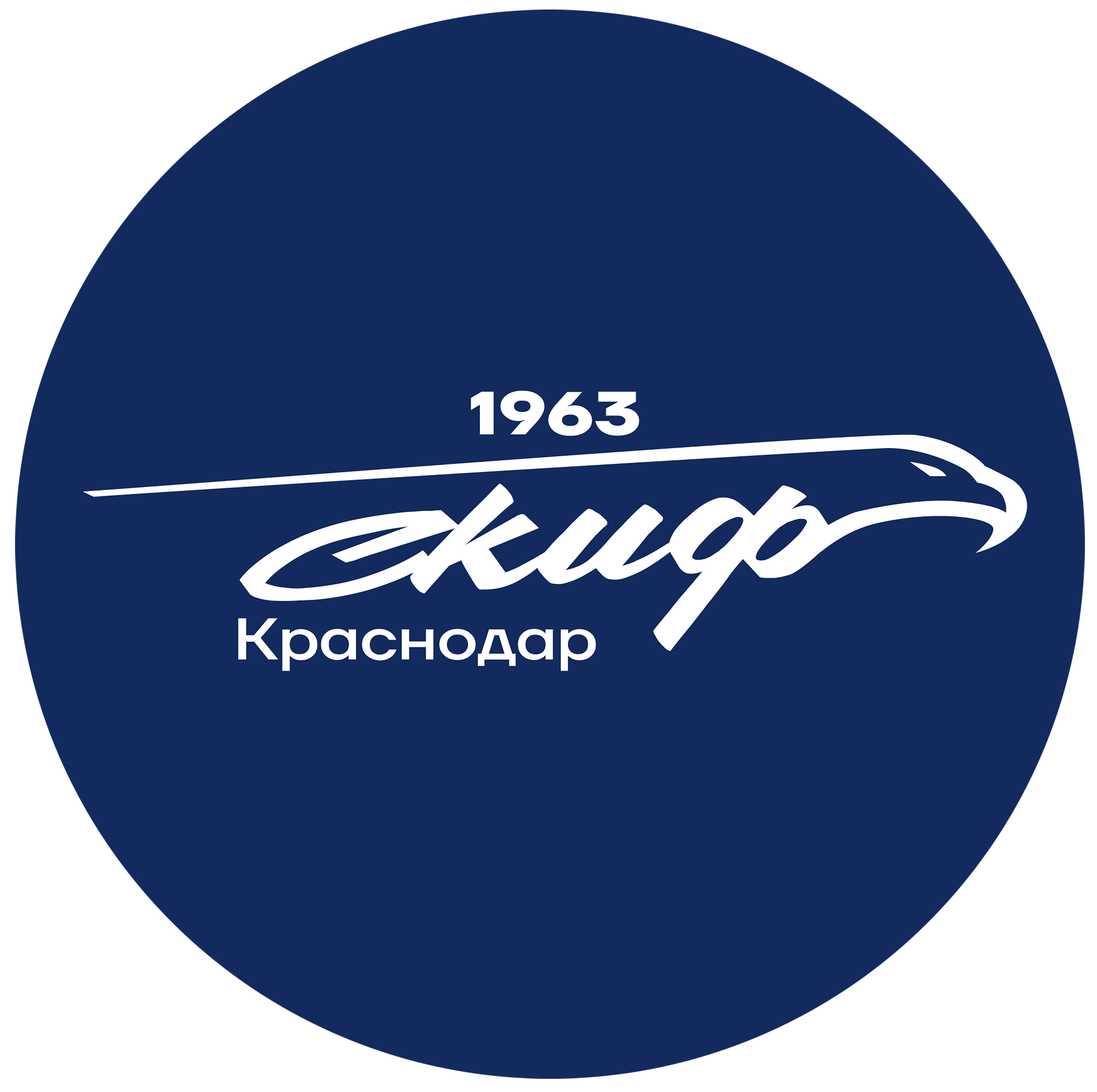 Гандбольный клуб СКИФ